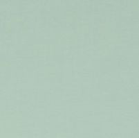 Tissu Jersey de coton uni - Vert menthe (Vendu x10cm) Tissus L'atelier de Gaspard et Léonie | Gaspard et Léonie Tissus en ligne et Mercerie à Toulouse
